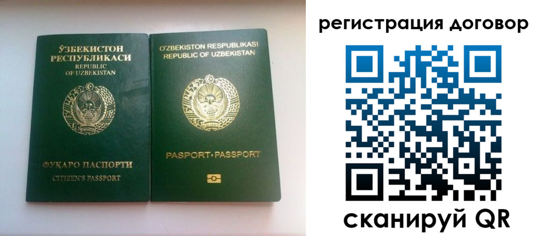 прописка в Ростове
